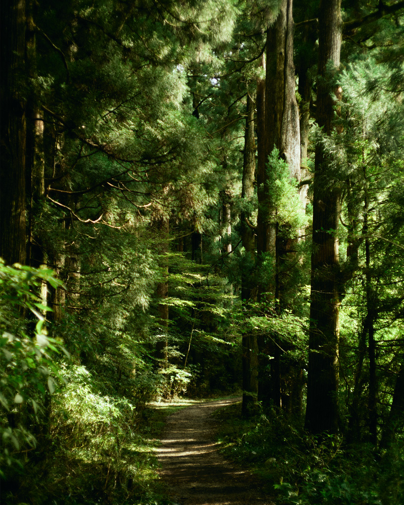 IMAGE:GEOSPOT