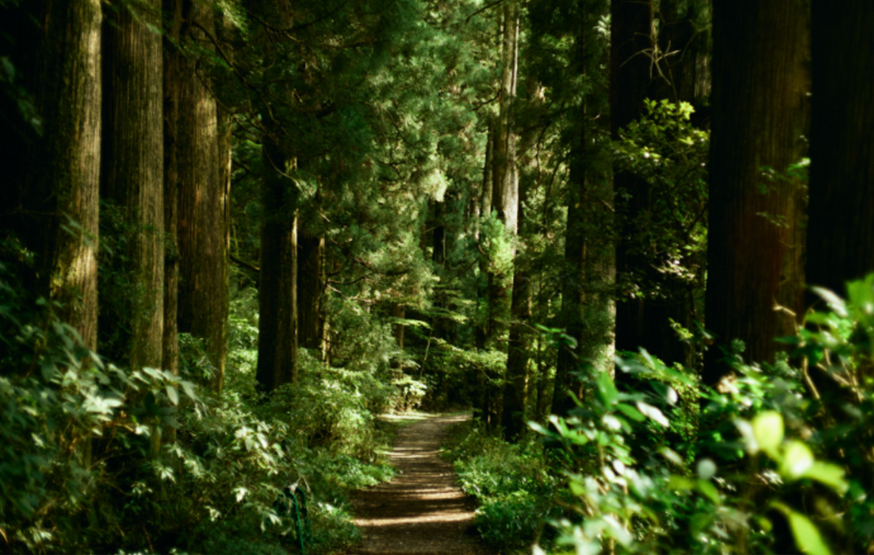 MOTOHAKONE | GEOSPOT